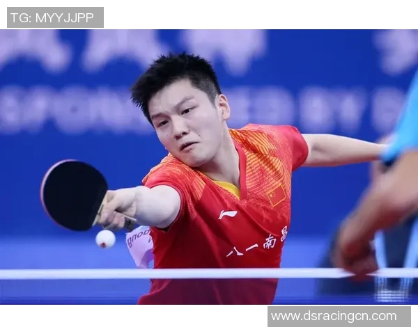 对话乒乓球名将王磊回顾辉煌生涯与未来展望 对话乒乓球名将王磊回顾辉煌生涯与未来展望