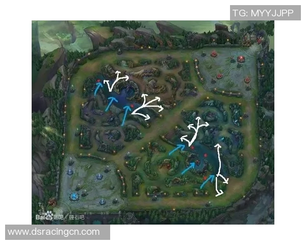 南京排球队阵地战打法深度解析与战术优势探讨