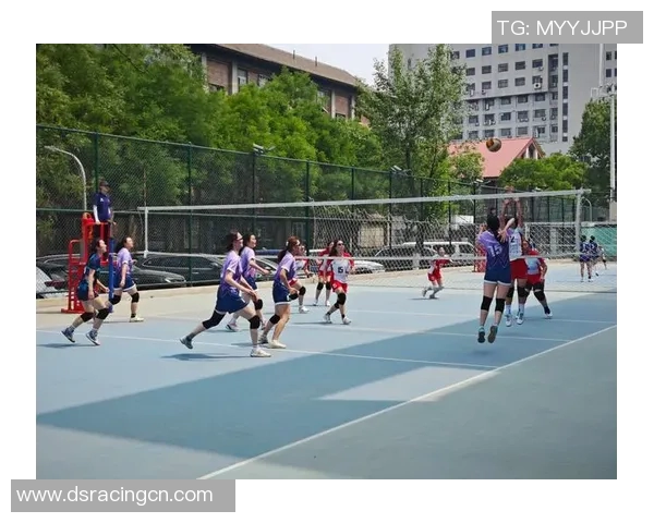 排球战术排行榜揭晓北京排球队荣获第一名称号