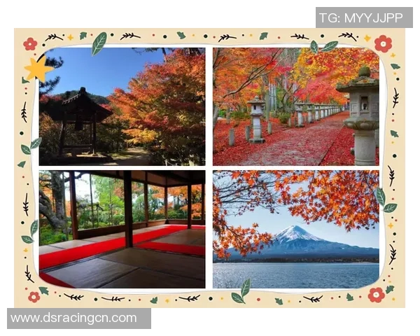 德岛旋涡与京都的魅力对比探索两地文化与自然之美