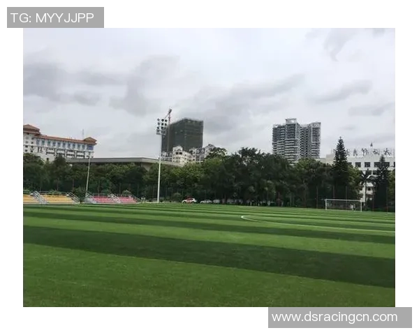 杨伟独家解析足球技巧与战术分享，助你提升球场表现与比赛理解